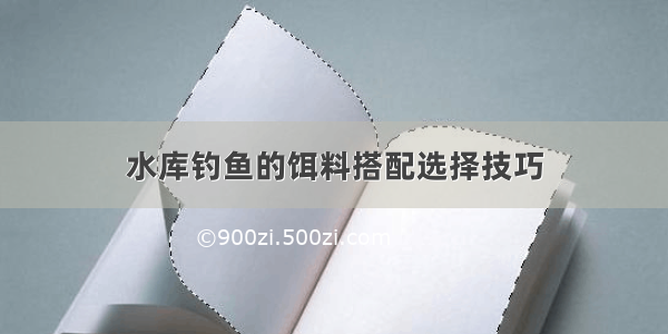 水库钓鱼的饵料搭配选择技巧