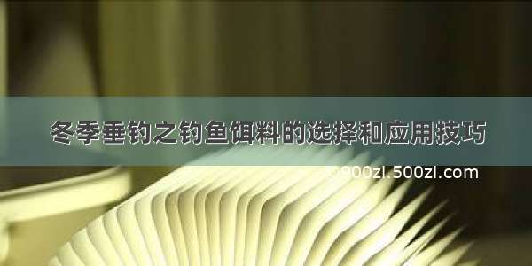 冬季垂钓之钓鱼饵料的选择和应用技巧