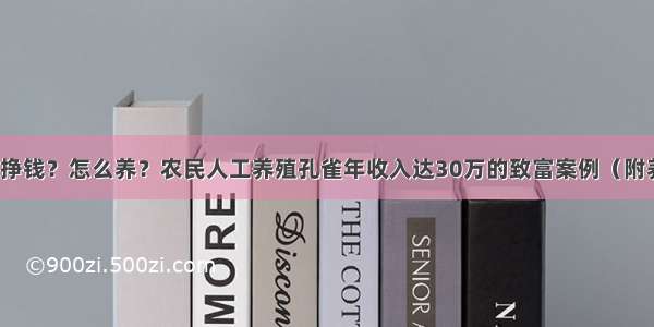 孔雀养殖挣钱？怎么养？农民人工养殖孔雀年收入达30万的致富案例（附养殖技巧）