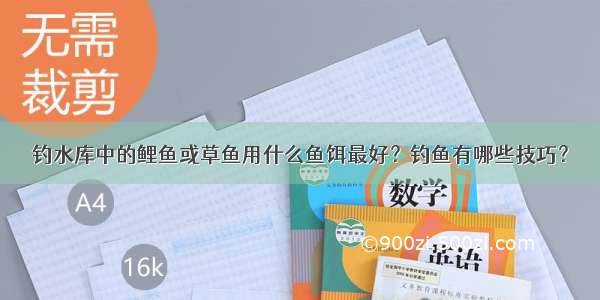 钓水库中的鲤鱼或草鱼用什么鱼饵最好？钓鱼有哪些技巧？