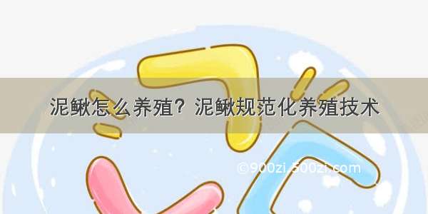 泥鳅怎么养殖？泥鳅规范化养殖技术