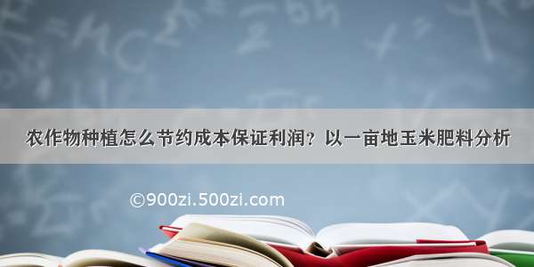 农作物种植怎么节约成本保证利润？以一亩地玉米肥料分析