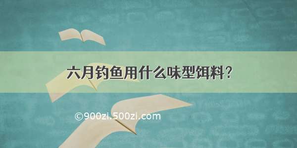 六月钓鱼用什么味型饵料？