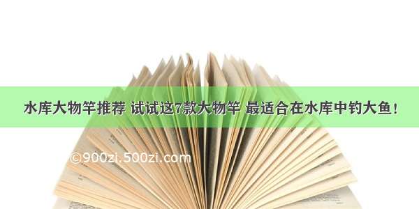 水库大物竿推荐 试试这7款大物竿 最适合在水库中钓大鱼！