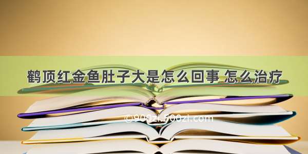 鹤顶红金鱼肚子大是怎么回事 怎么治疗