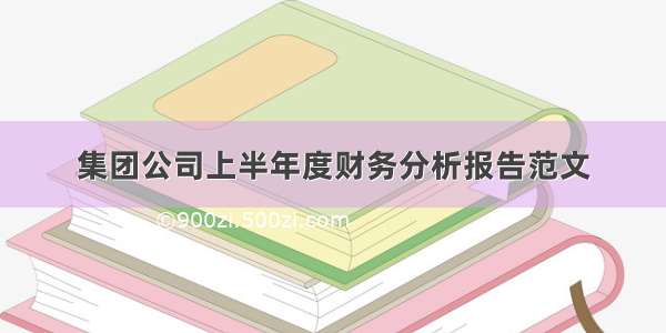 集团公司上半年度财务分析报告范文