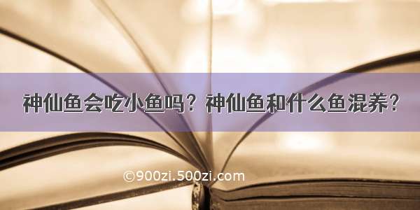 神仙鱼会吃小鱼吗？神仙鱼和什么鱼混养？