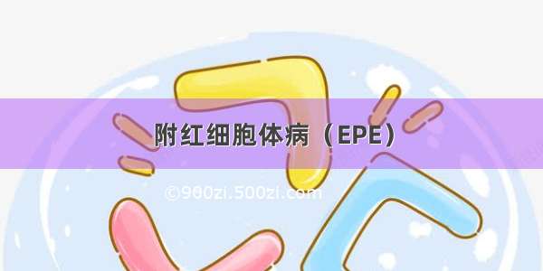 附红细胞体病（EPE）