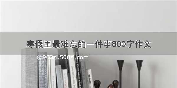 寒假里最难忘的一件事800字作文