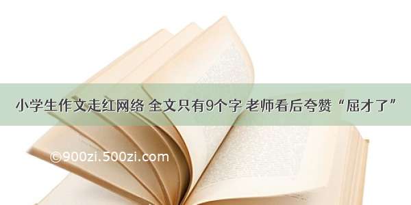 小学生作文走红网络 全文只有9个字 老师看后夸赞“屈才了”