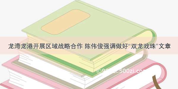 龙湾龙港开展区域战略合作 陈伟俊强调做好“双龙戏珠”文章