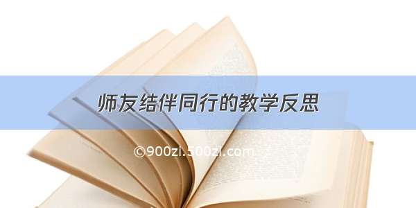 师友结伴同行的教学反思