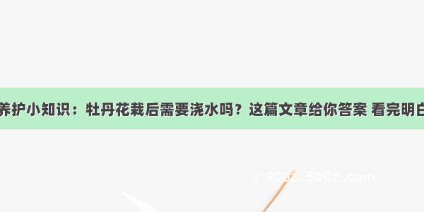 养护小知识：牡丹花栽后需要浇水吗？这篇文章给你答案 看完明白