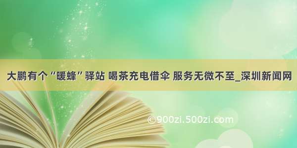 大鹏有个“暖蜂”驿站 喝茶充电借伞 服务无微不至_深圳新闻网