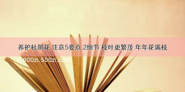 养护杜鹃花 注意5要点 2细节 枝叶更繁茂 年年花满枝