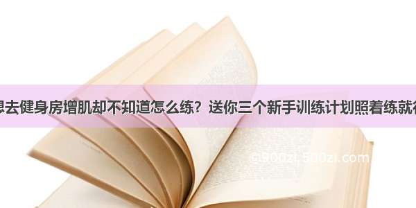 想去健身房增肌却不知道怎么练？送你三个新手训练计划照着练就行