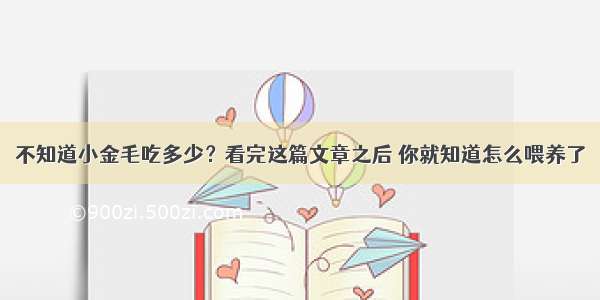 不知道小金毛吃多少？看完这篇文章之后 你就知道怎么喂养了