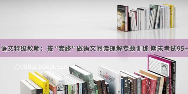 语文特级教师：按“套路”做语文阅读理解专题训练 期末考试95+