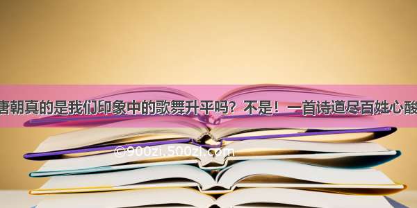 唐朝真的是我们印象中的歌舞升平吗？不是！一首诗道尽百姓心酸！