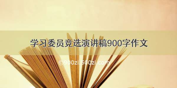 学习委员竞选演讲稿900字作文