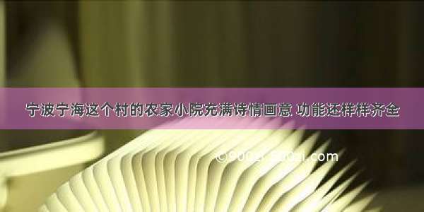 宁波宁海这个村的农家小院充满诗情画意 功能还样样齐全