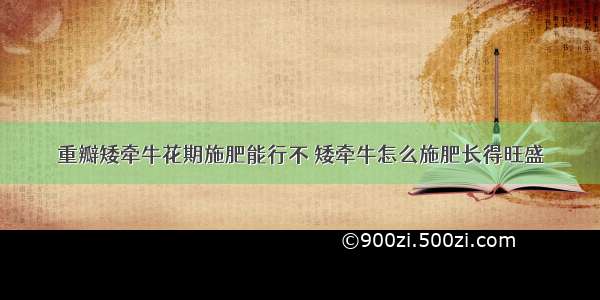 重瓣矮牵牛花期施肥能行不 矮牵牛怎么施肥长得旺盛