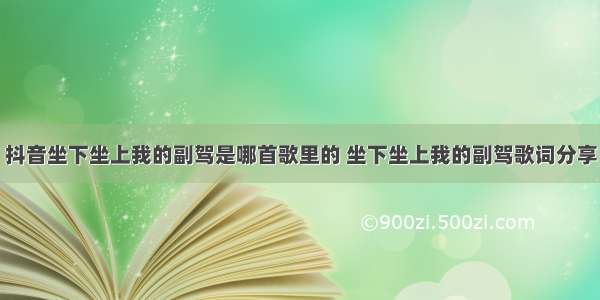 抖音坐下坐上我的副驾是哪首歌里的 坐下坐上我的副驾歌词分享