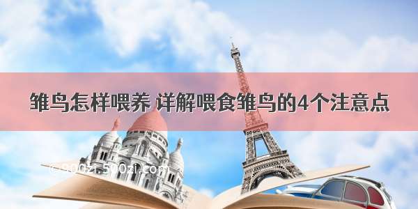 雏鸟怎样喂养 详解喂食雏鸟的4个注意点