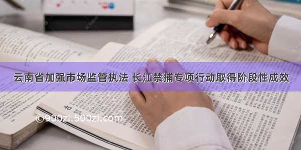 云南省加强市场监管执法 长江禁捕专项行动取得阶段性成效