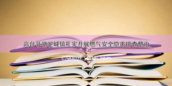 高台县骆驼城镇扎实开展燃气安全隐患排查整治