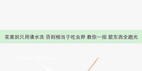 花菜别只用清水洗 否则相当于吃虫卵 教你一招 脏东西全跑光