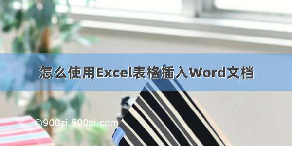 怎么使用Excel表格插入Word文档