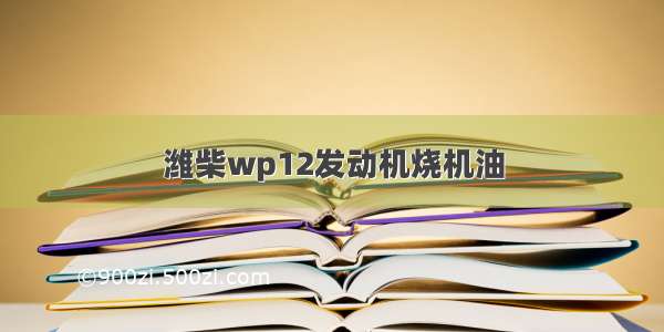 潍柴wp12发动机烧机油