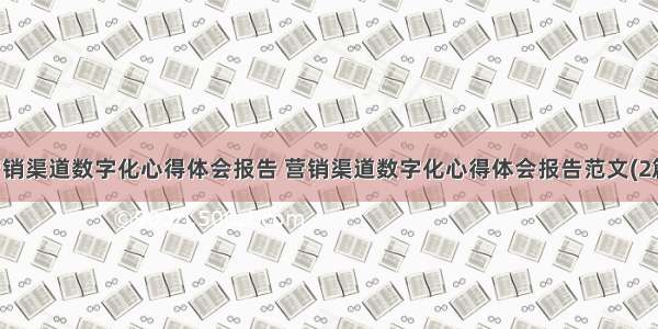 营销渠道数字化心得体会报告 营销渠道数字化心得体会报告范文(2篇)