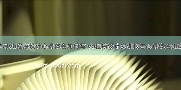 学习vb程序设计心得体会如何写 vb程序设计实训报告心得体会(8篇)