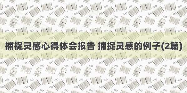 捕捉灵感心得体会报告 捕捉灵感的例子(2篇)