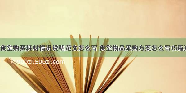 食堂购买耗材情况说明范文怎么写 食堂物品采购方案怎么写(5篇)