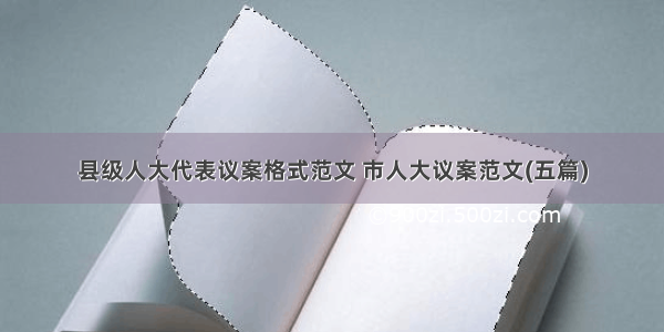 县级人大代表议案格式范文 市人大议案范文(五篇)