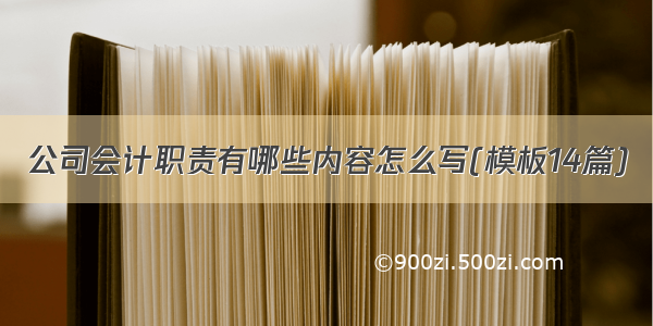 公司会计职责有哪些内容怎么写(模板14篇)