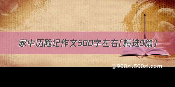 家中历险记作文500字左右(精选9篇)