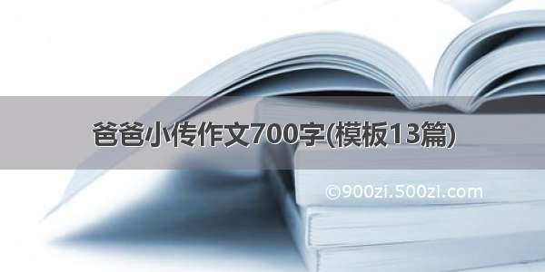 爸爸小传作文700字(模板13篇)