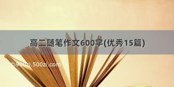 高二随笔作文600字(优秀15篇)