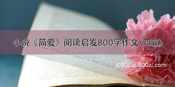 小说《简爱》阅读启发800字作文(四篇)