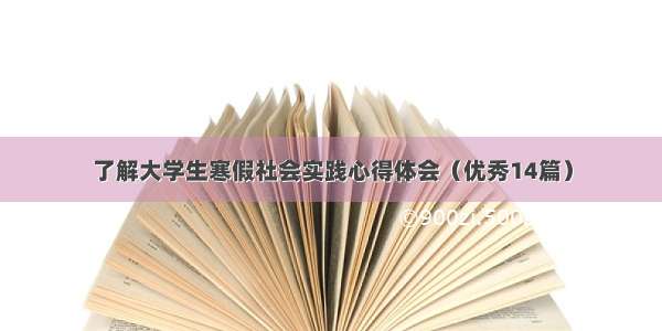 了解大学生寒假社会实践心得体会（优秀14篇）