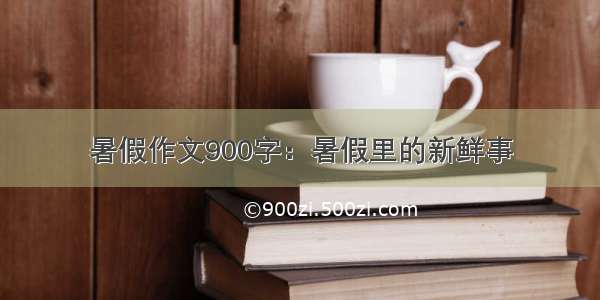 暑假作文900字：暑假里的新鲜事