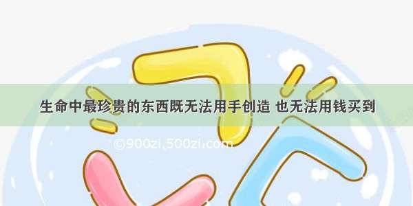 生命中最珍贵的东西既无法用手创造 也无法用钱买到