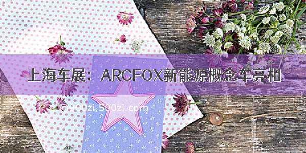 上海车展：ARCFOX新能源概念车亮相