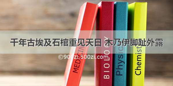 千年古埃及石棺重见天日 木乃伊脚趾外露