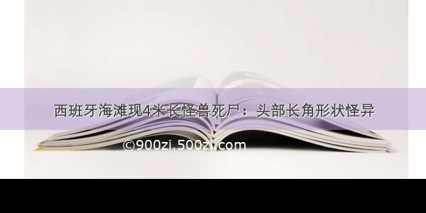 西班牙海滩现4米长怪兽死尸：头部长角形状怪异