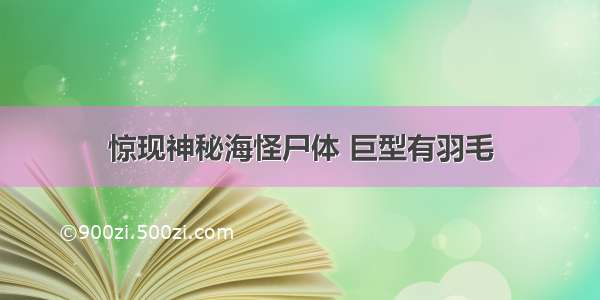 惊现神秘海怪尸体 巨型有羽毛